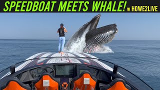 Speedboat meets whale  a Howe2Live episode  MTI 440X [upl. by Bazil269]