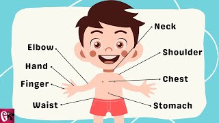 Learn Body Parts Song for Kids  Body Parts  GoodysKids [upl. by Assenat]