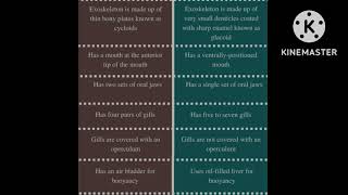 difference between cartilaginous and bony fish with diagram [upl. by Adigirb]