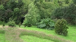 CNN en Viaje Puerto Chacabuco Laguna San Rafael y Parque Aikén del Sur [upl. by Farrison186]