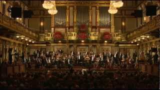 Johannes Brahms  Hungarian Dance No5  Hungarian Symphony Orchestra Budapest [upl. by Eustacia]