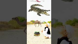 Halal and Haram islamicvideo shortvideo [upl. by Bull230]