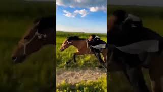 Next Level Horse Riding shorts horseriding horse amazing [upl. by Ayital666]