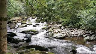 Monday 30th August 2021 Watersmeet Trail from Lynmouth to Watersmeet amp back [upl. by Guise231]