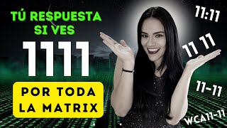 Qué significa ver el 1111 en el reloj  Números espejo por todos lados  Sincronicidad espiritual [upl. by Nyladnek116]