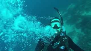 Scuba diving in Stara Novalja Croatia [upl. by Ilke76]