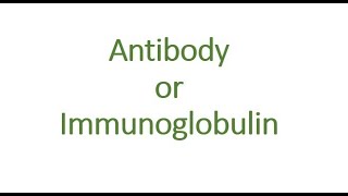 ANTIBODYIMMUNOGLOBULINS MALAYALAM [upl. by Linea762]