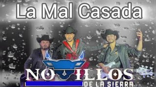 La Mal Casada  Novillos De La Sierra En Vivo [upl. by Ecadnac900]