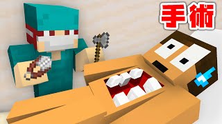 手術してぷちぷちの命を救え！『マイクラ医者ごっこ』【まいくら・マインクラフト】 [upl. by Ackler]