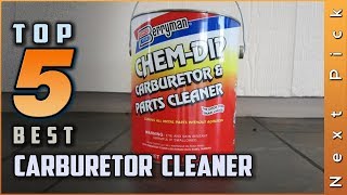 Top 5 Best Carburetor Cleaner Review in 2024 [upl. by Hallvard]