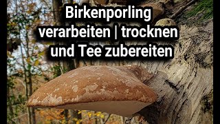 Birkenporling Tee Zubereitung Wie verarbeite ich einen Birkenporling zum nachmachen [upl. by Nakashima983]