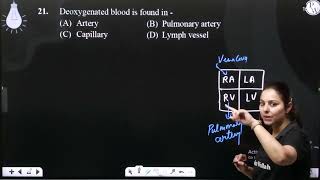 Deoxygenated blood is found in [upl. by Vaclav98]