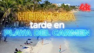 Hermosa tarde en Playa del Carmen [upl. by Tesil]