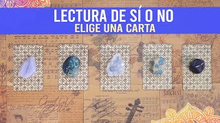 Lectura SÍ O NO  Pregúntale a las cartas 🔮 [upl. by Andrea]