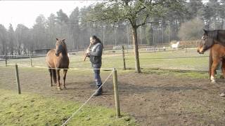 Indianen fluit met paarden [upl. by Slaohcin]