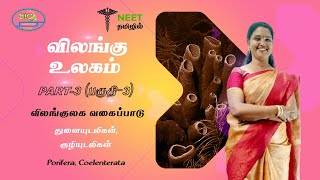 Animal Kingdom  Part 3  Porifera  Coelenterate  NEET Tamil  NEET Biology [upl. by Lethia]