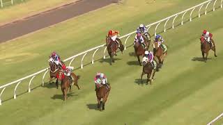 Toowoomba 20241105 Race 5 [upl. by Idnic708]