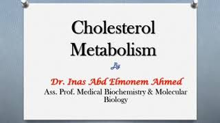 Cholesterol metabolism [upl. by Alek]