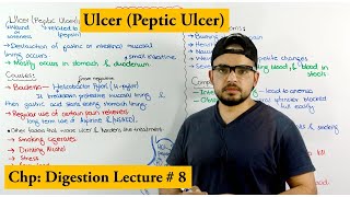 Ulcer Disease peptic ulcer  Causes symptoms and Treatments [upl. by Arahsat439]