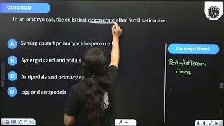 In an embryo sac the cells that degenerate after fertilisation are [upl. by Ardene898]