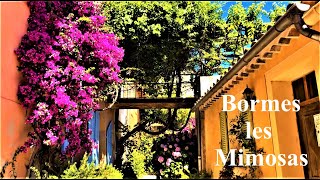 Bormes les Mimosas 💐Explosion de couleurs 💐 Visite des villages Français [upl. by Valorie]