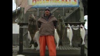 HALIBUT HOMER ALASKA FIRST DAY MIDNIGHT SUN CHARTERS DEEP INTO THE INLET [upl. by Grevera80]