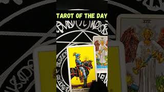 TODAYS TAROT GUIDANCE whitefeathertarot 222Tarot RedFairyTarot tarot pickacard shorts [upl. by Wain]