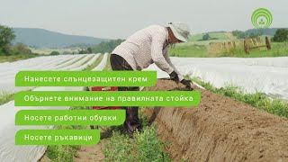 Sicheres Arbeiten auf dem Spargelfeld  Безопасна работа на полето с аспержи Bulgarisch [upl. by Vesta]