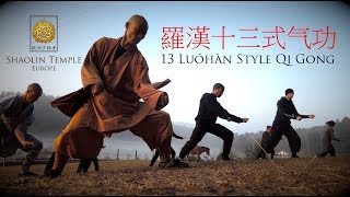 羅漢十三式气功 · 13 Luohan Style Qi Gong [upl. by Ynaffyt]