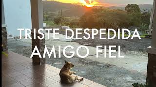 TRISTE DESPEDIDA AMIGO FIEL [upl. by Vizza]