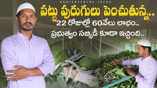 Silkworm Farming  పట్టుపురుగుల పెంపకం  Successful Sericulture Farmer  Shiva Agri Clinic [upl. by Eniluqcaj]