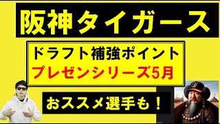 阪神タイガース2024年ドラフト補強ポイント5月シリーズ②【珍ギスハンさん】 [upl. by Malti930]