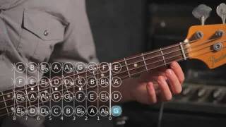 How to Play D ♯  E Flat Major Scale  Bass Guitar [upl. by Ahtabat]