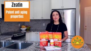 Antiaging Plant Hormones in Moringa [upl. by Ming979]