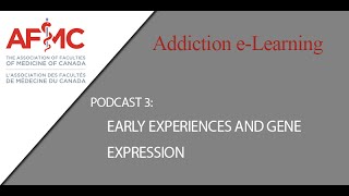 Podcast 3 Early Experiences and Gene Expression [upl. by Chuck51]