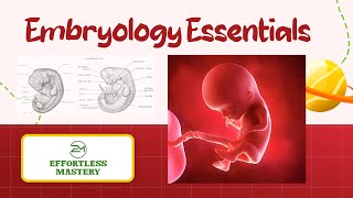 “EMBRYOLOGY 101 Essential Terms You Need to Know’’ [upl. by Enomed]