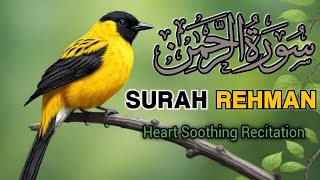 Surah ArRehman Full  Ep  00304  Qari Rizwan  سورہ رحمٰن55  Relaxing Recitation [upl. by Notrab]