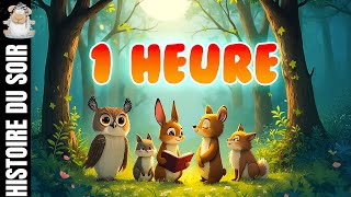 ✨1 Heure dhistoire 📖 pour sendormir Conte pour enfant en français✨ [upl. by Einaj]