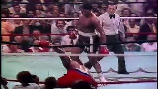 George Foreman vs Jimmy Young Highlights [upl. by Yenaiv]