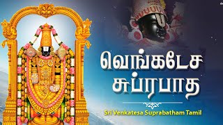 வெங்கடேச சுப்ரபாதம்  Venkatesa Suprabhatham Tamil  Tamil Devotional Songs [upl. by Gabriele]