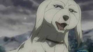 Cross sings Kimba the White Lion theme [upl. by Animar]