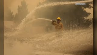 California Wildfires Excelsior Fire Post Fire  Update June 16 2024 [upl. by Kimberli]