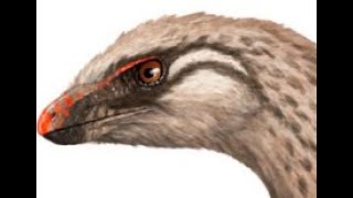 Lesothosaurus Fleet footed Ornithischian from Early Jurassic Southern Africa [upl. by Edyth]