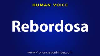 How To Pronounce Rebordosa [upl. by Llenrad777]