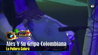 Alex Y Su Gripa Colombiana  La Pollera Colorá Video Oficial [upl. by Eirehs555]