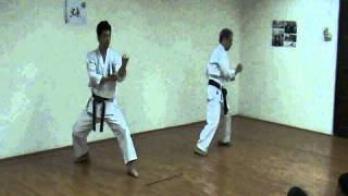 Shotokan Kata  Heian 15 amp Tekki 1 [upl. by Ahsehat]