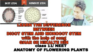 TRICKS to learn easily the difference between DICOT STEM AND MONOCOT STEMCLASS 11NEET [upl. by Eltsryk796]