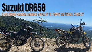 Suzuki DR650 Exploring Hamma Hamma Area [upl. by Kristal]