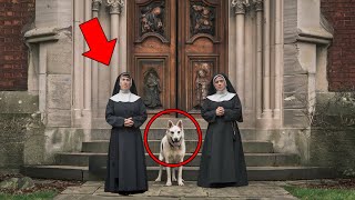 ¡UN PERRO MISTERIOSO aparece en la puerta DE UN MONASTERIO Y LO QUE DESCUBRIRÁN TE DARÁ ESCALOFRÍOS [upl. by Ulick80]