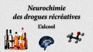 Neurochimie des drogues récréatives  Lalcool éthanol [upl. by Stav]